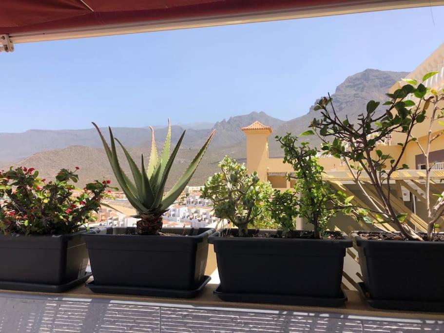 Apartamento Con Impresionantes Vistas Y Piscina Costa Adeje  Kültér fotó